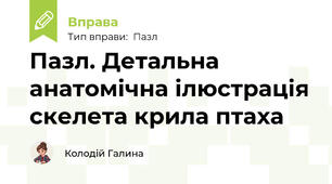 Пазл. Детальна анатомічна ілюстрація скелета крила птаха