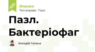 Пазл. Бактеріофаг