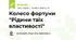Колесо фортуни "Рідини та їх властивості"