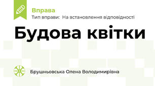 Будова квітки