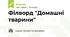 Філворд "Домашні тварини"